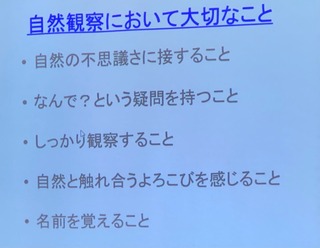 73158A8A-76D9-43D1-B222-CF19C50CEBF2.jpeg